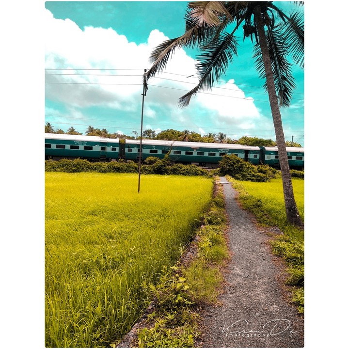 nature