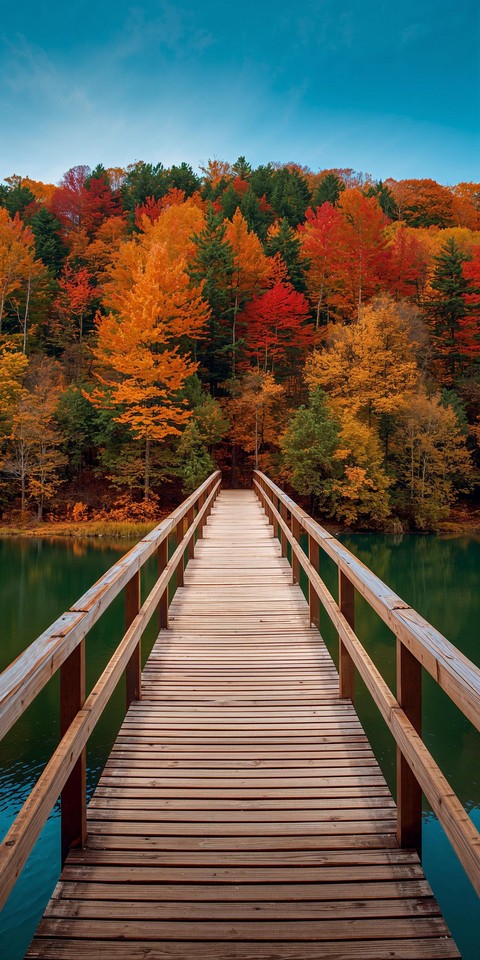 tapety wood, boardwalk