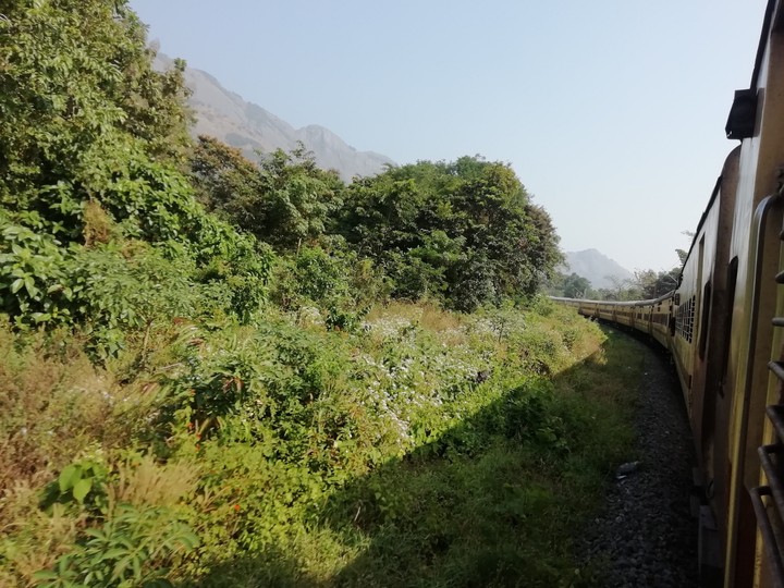 A journey through the Western Ghats...