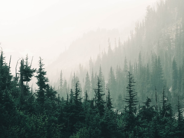 low visibility