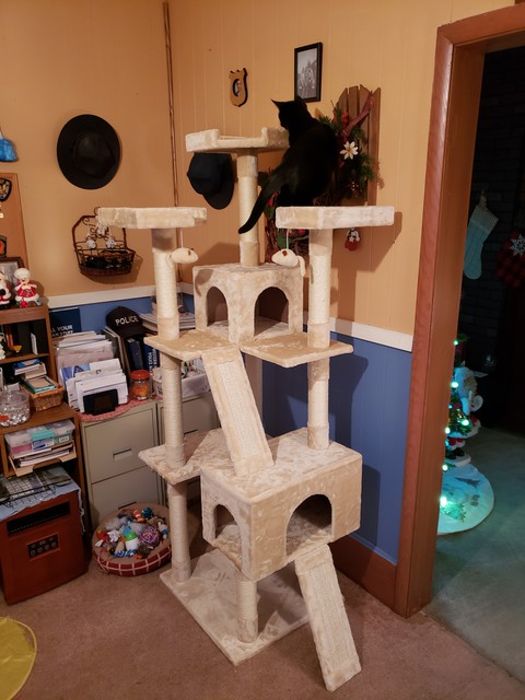 my furbabies treehouse. Dec 2019
