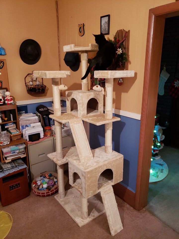 my furbabies treehouse. Dec 2019
