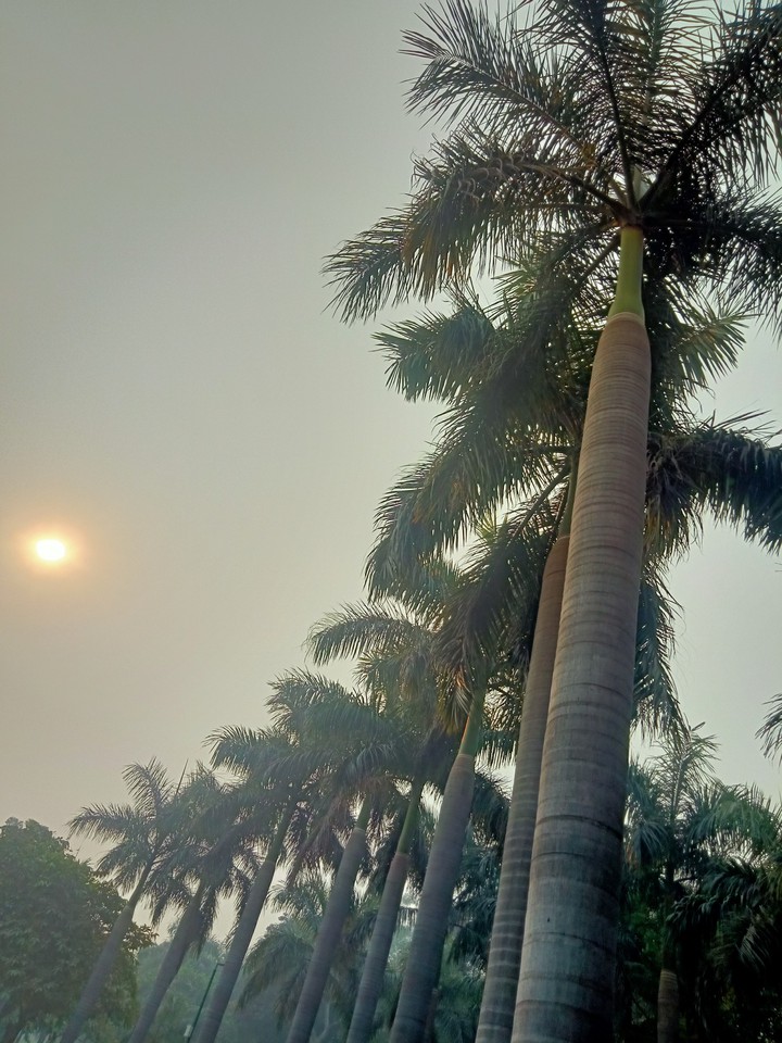 sun rise with nature