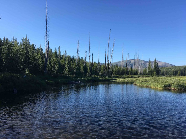 Nice place to stop and forget ‘bout the rest