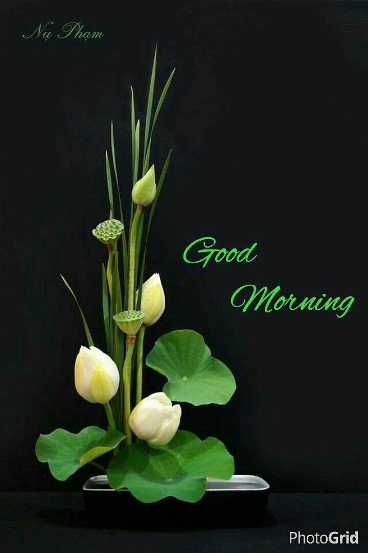 morning