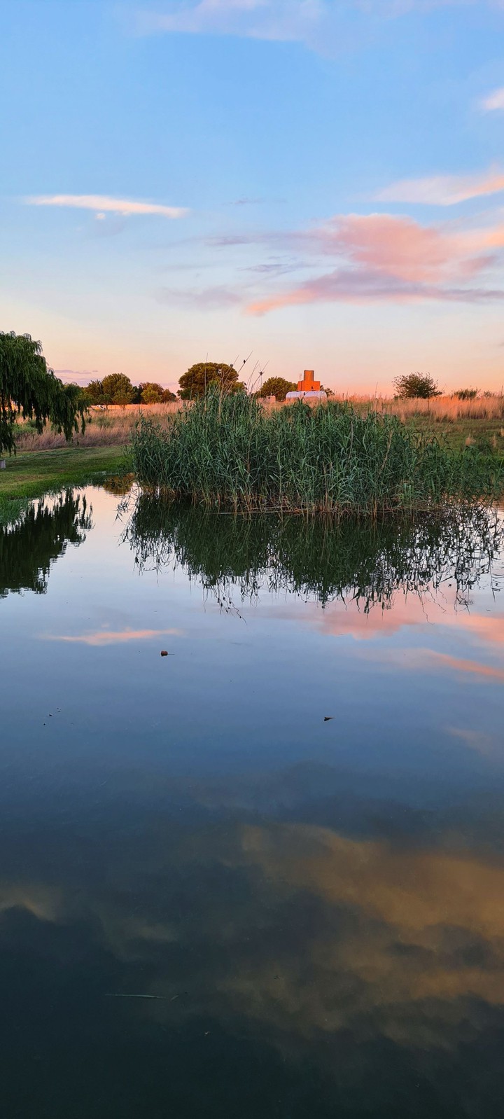 pond of mirrors