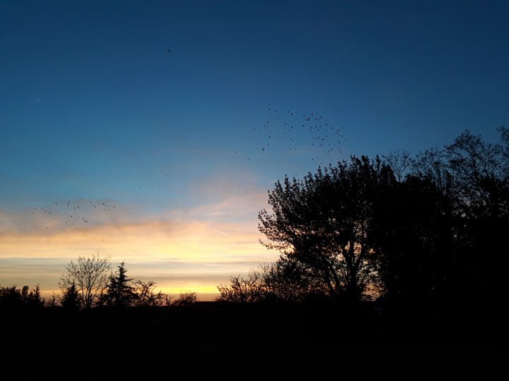 Sky