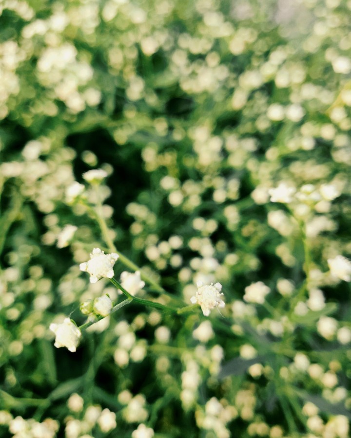 experiences that are too beautiful to put down in words