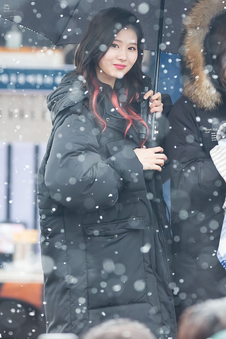 사나