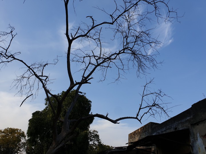 Clear sky