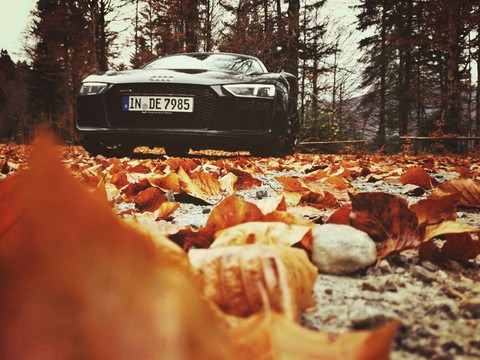Audi r8