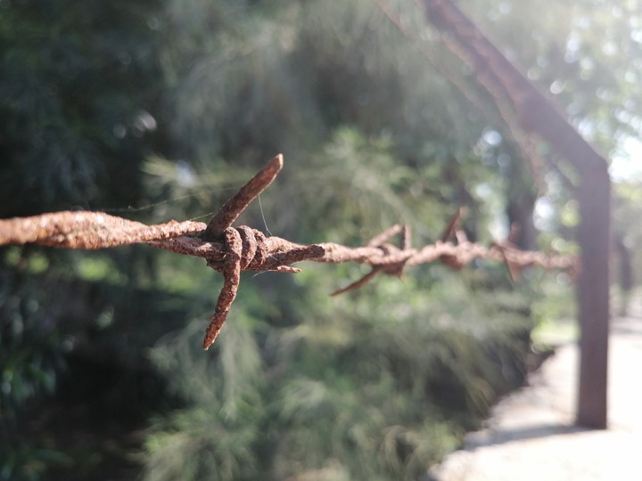 wire