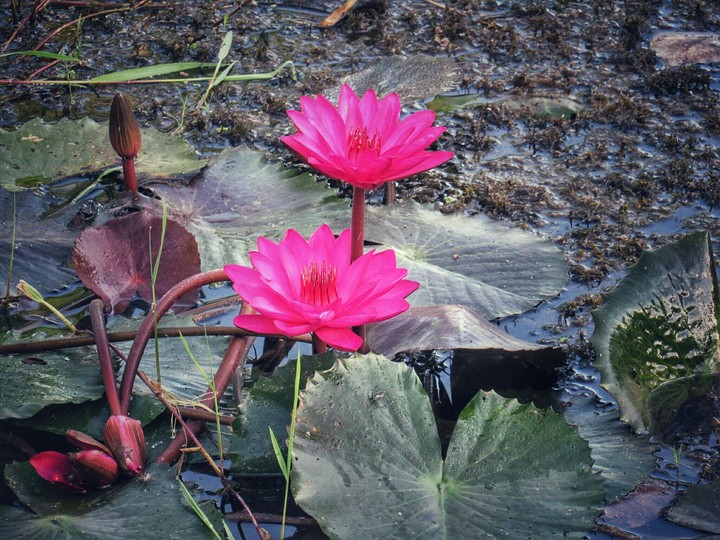 Enjoy the nature