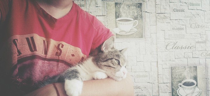 kitty