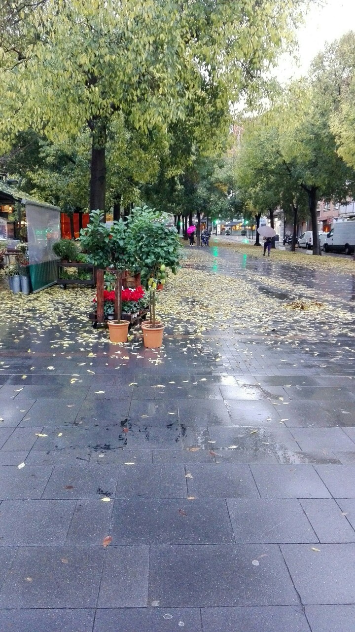 Rambla