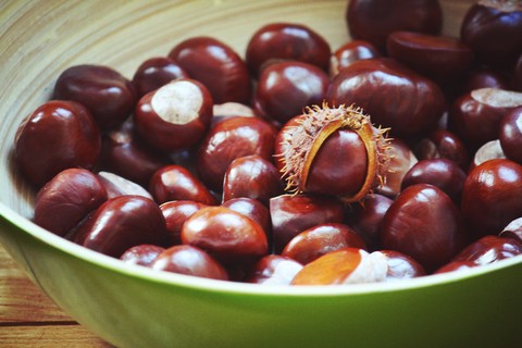 Bean, recipe háttérképek