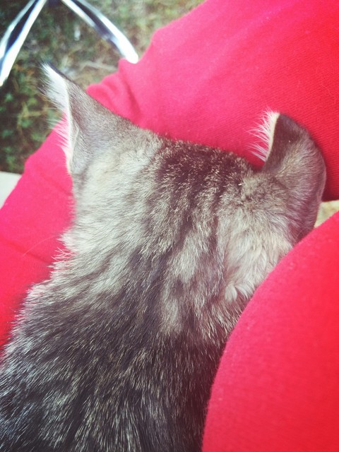#myfriendns