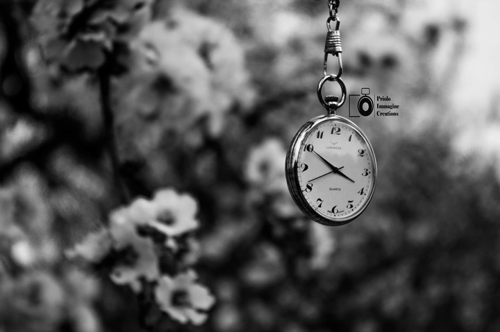 The truth is the daughter of time