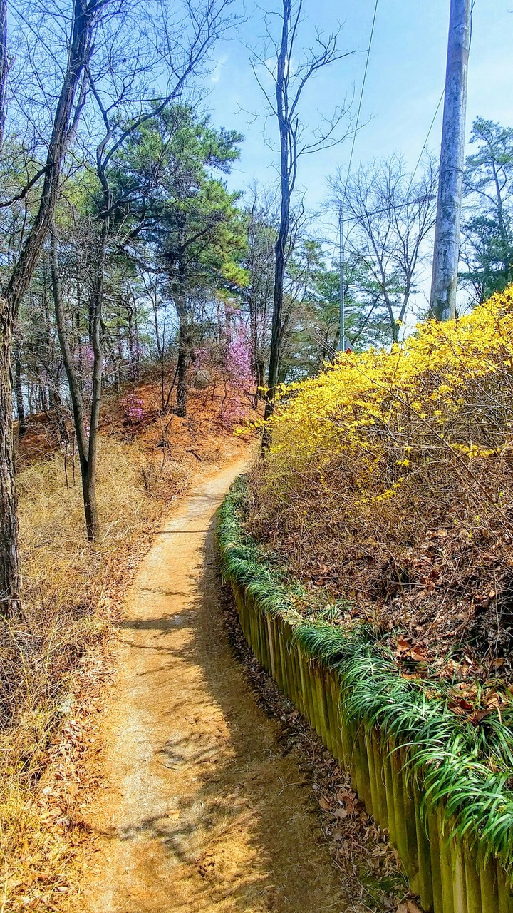 길