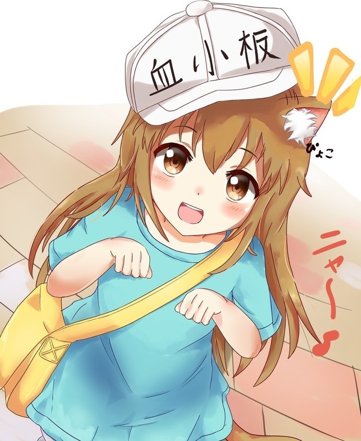 anime