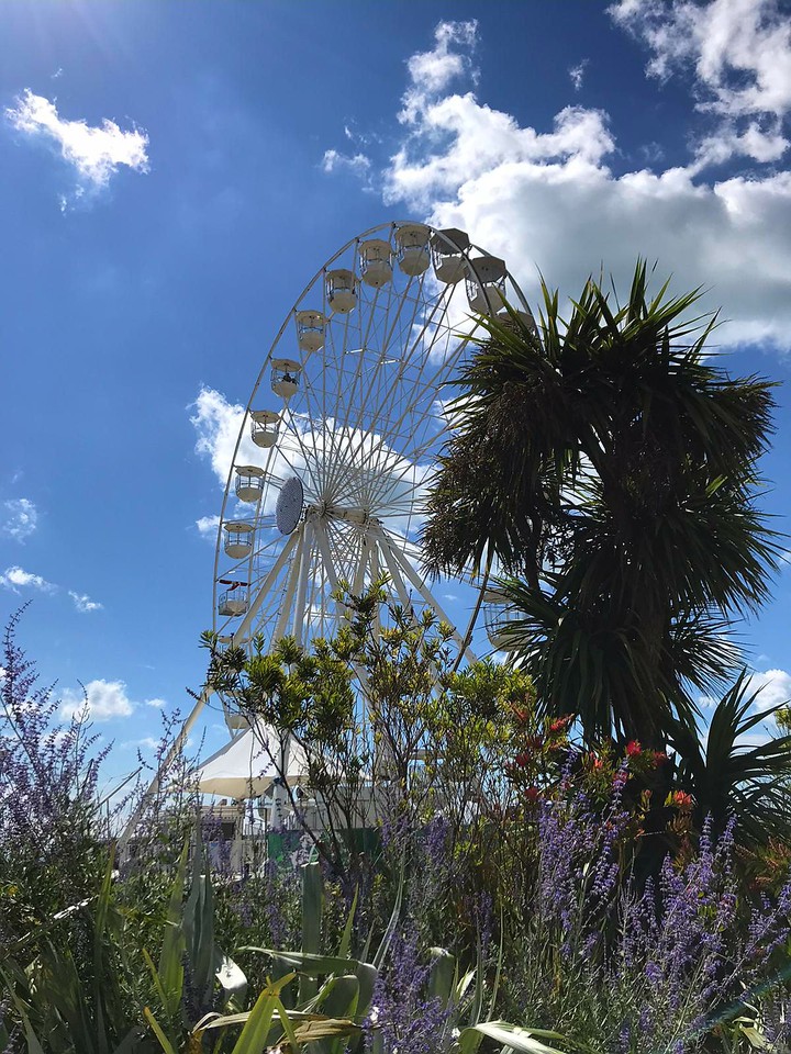 Amusement park