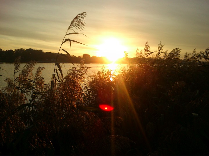 sunset on river