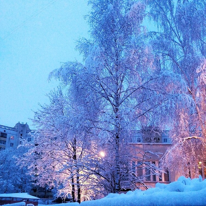 winter in Minsk