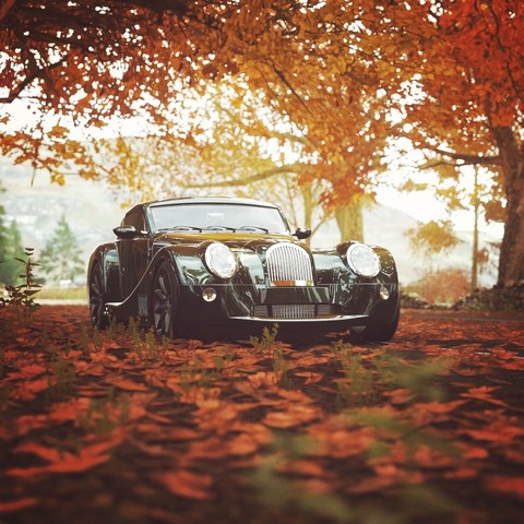 morgan