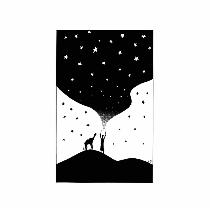 stars in desert
