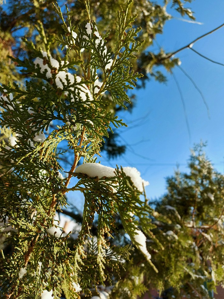 winter