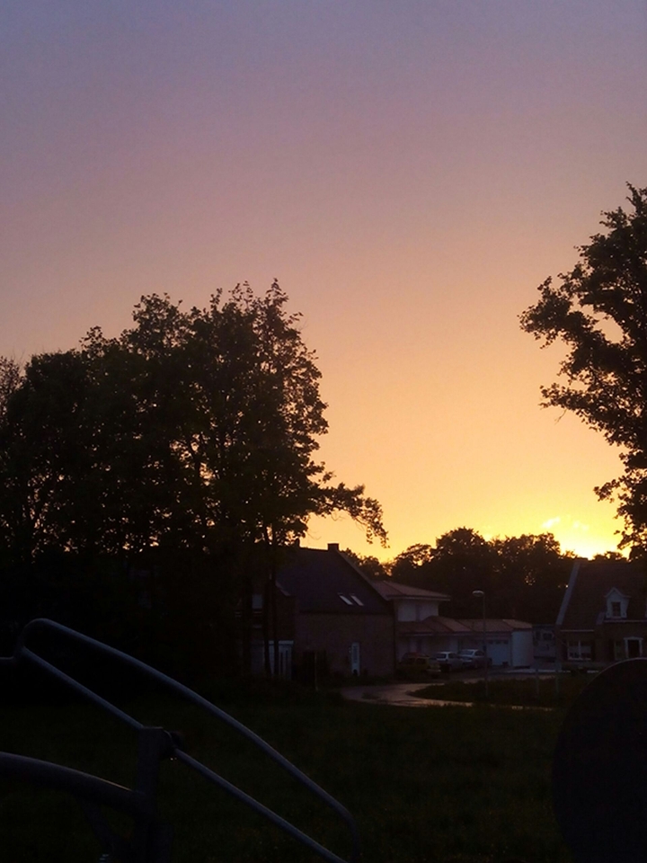 view from my backyard