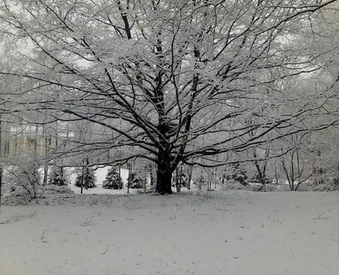 snow