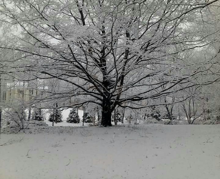 snow
