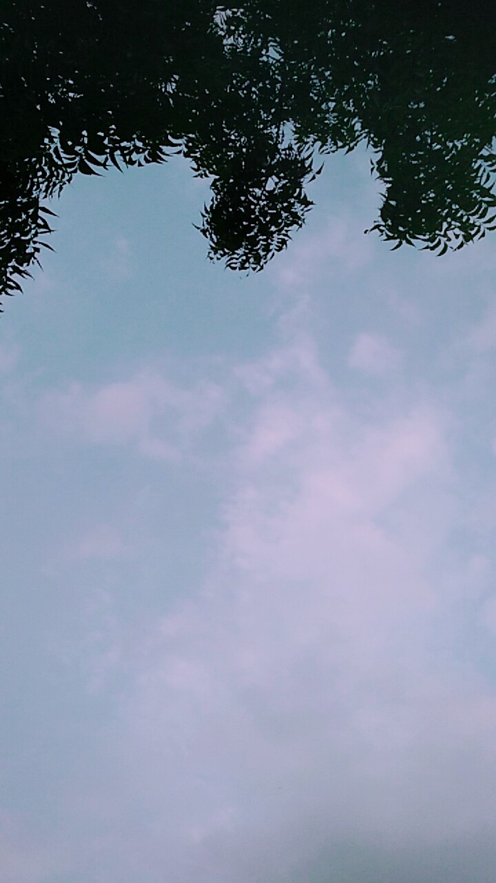 beutiful