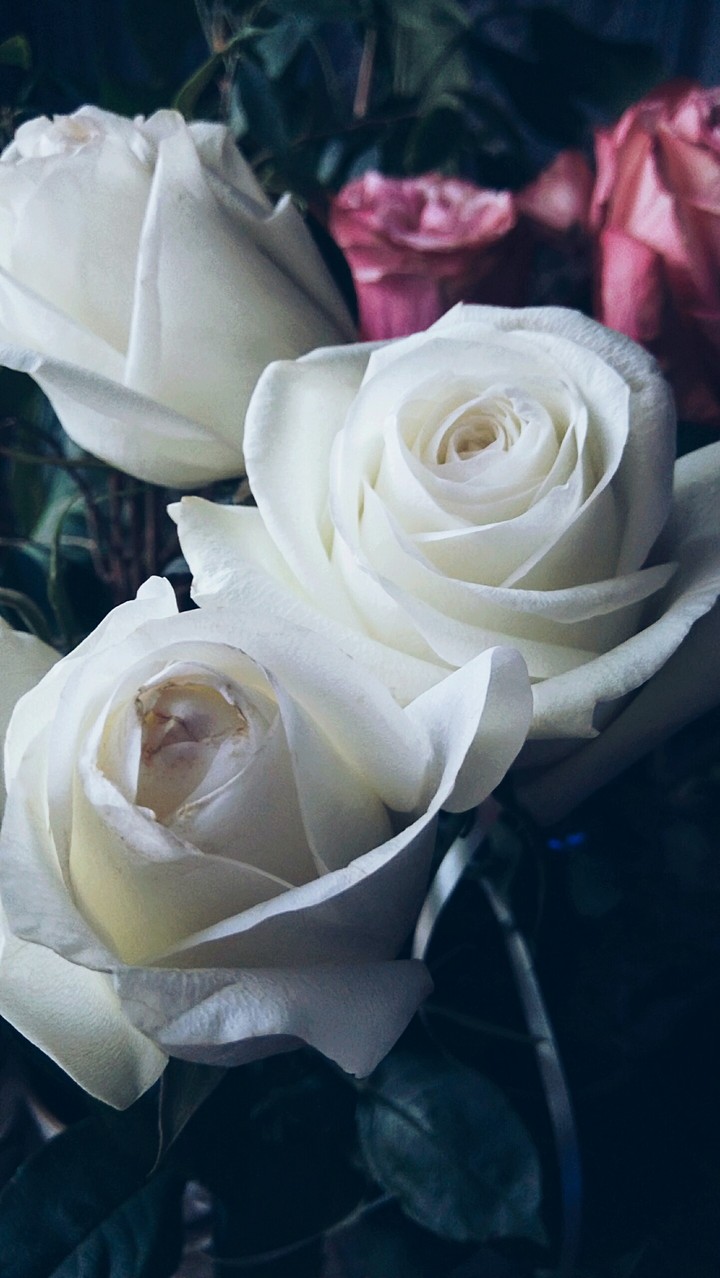 flowers