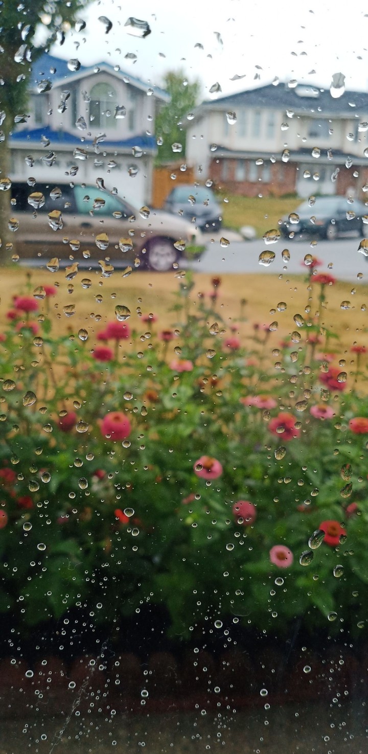 rain