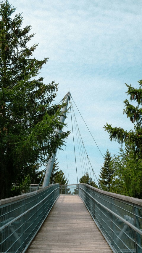 тапети Pole, bridge–tunnel