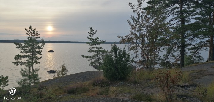 финский залив