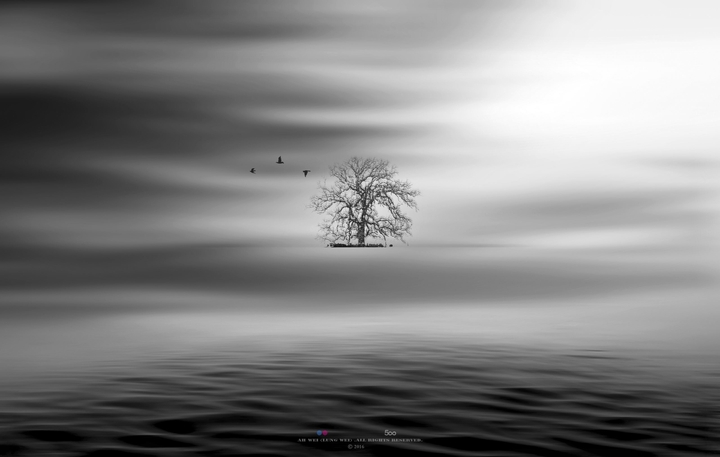 black_and_white