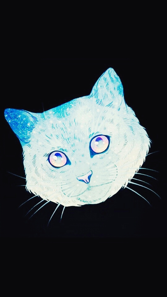 Котик из космоса