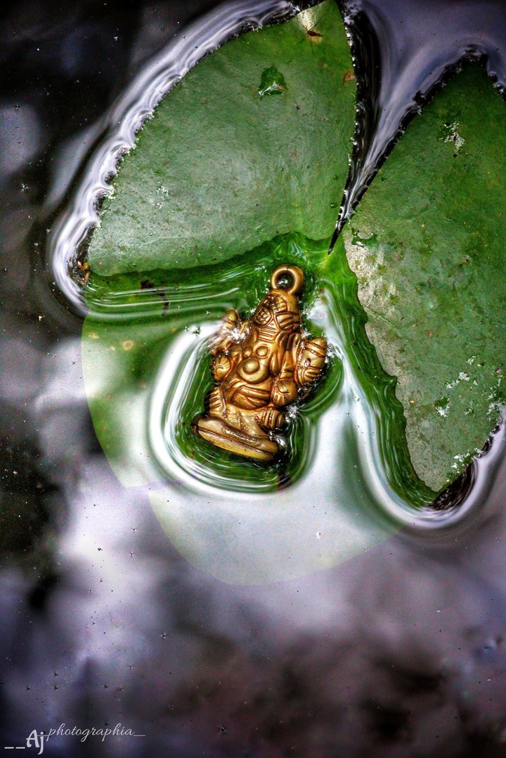 Lord ganesha