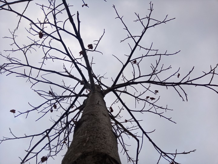 up
