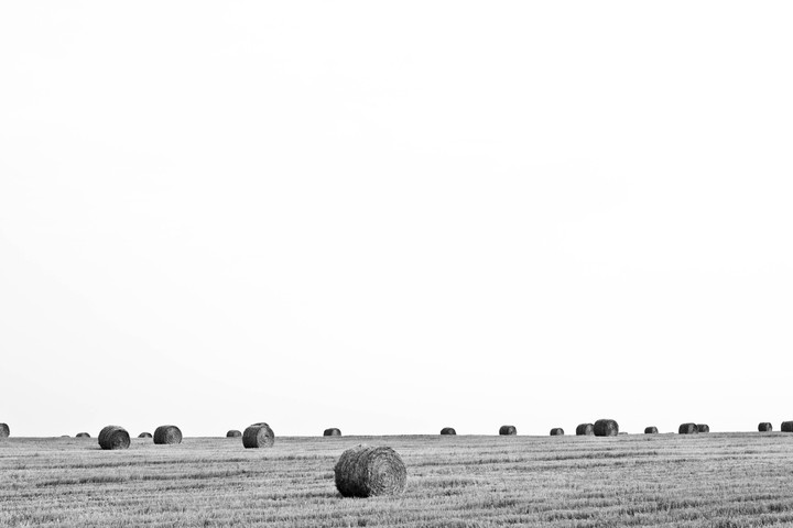 Field