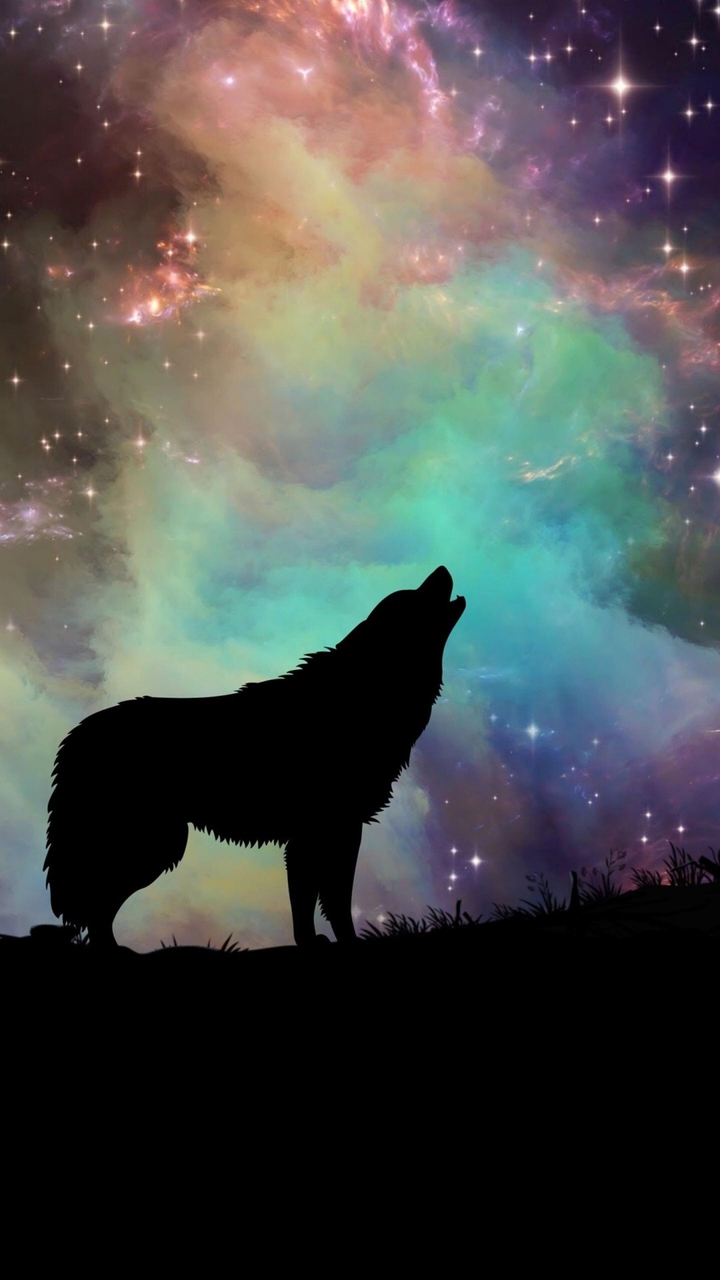 wolf