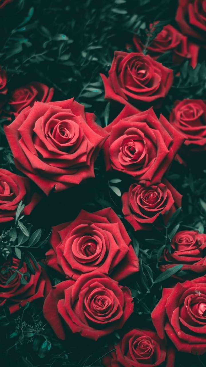flowers