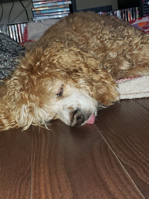tired baby