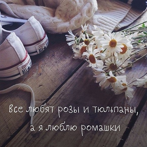 мои