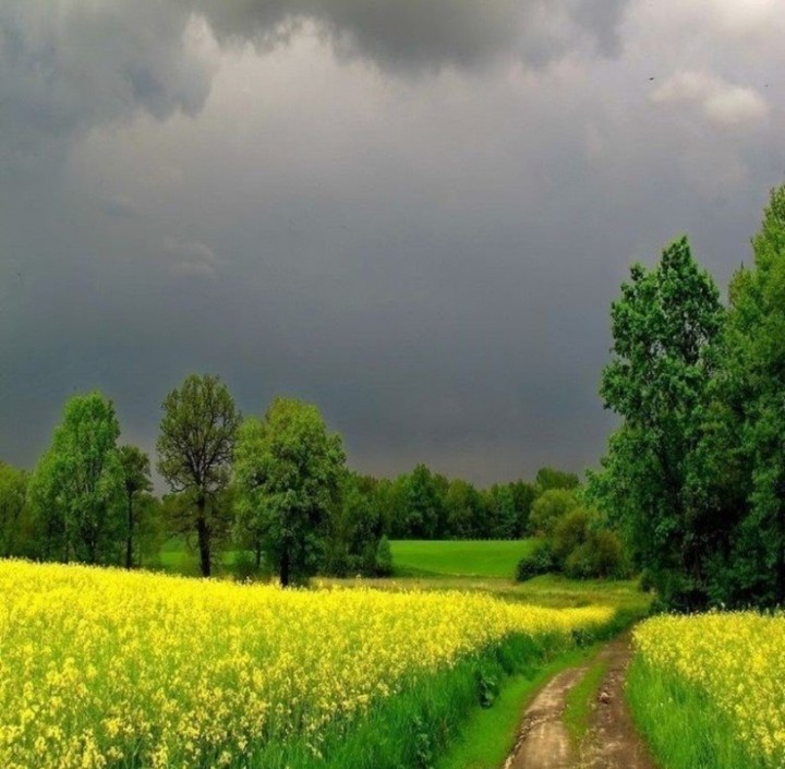 дороги