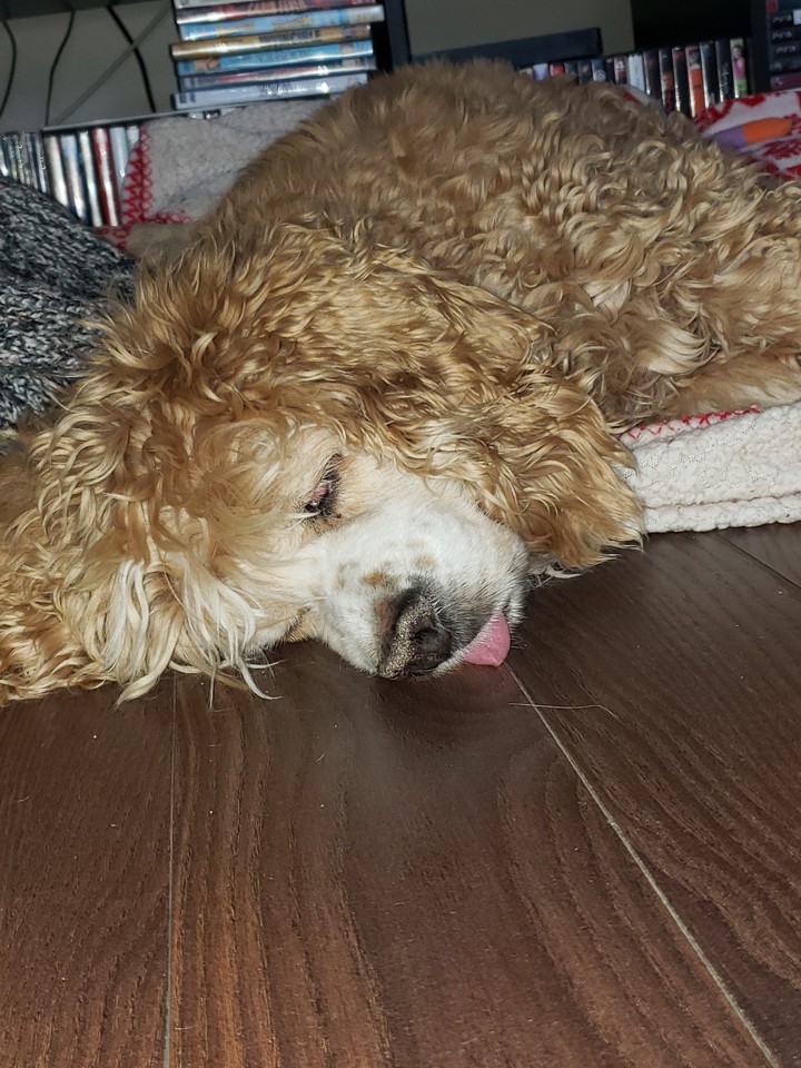tired baby