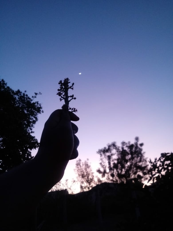 sky